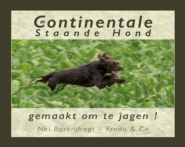 De Continentale Staande Hond: gemaakt om te jagen!