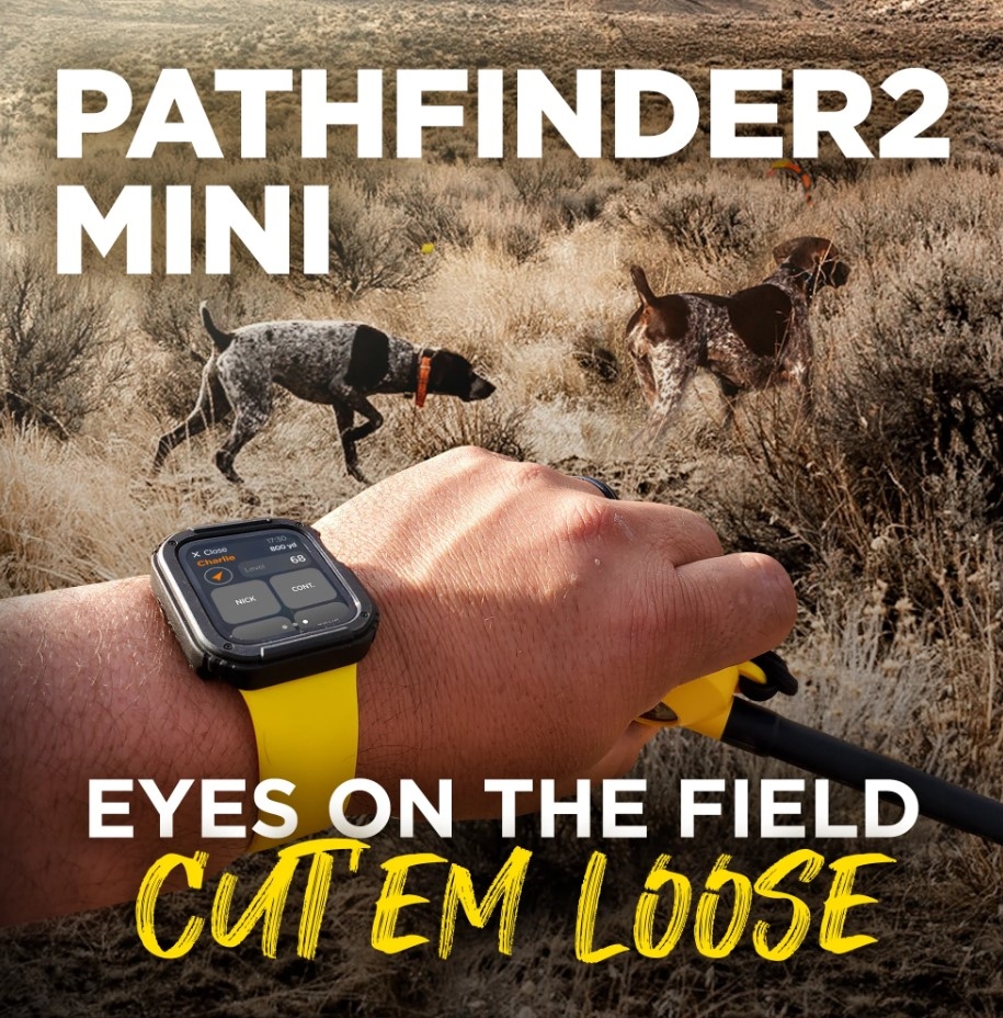 Dogtra Pathfinder 2 MINI GPS systeem