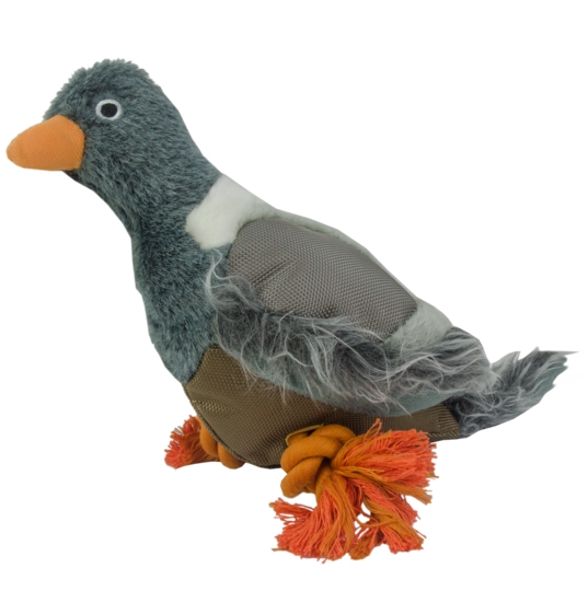 PeeWee Grey Pigeon