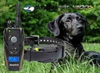 Dogtra ARC 1200S-2