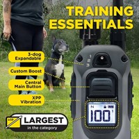 Dogtra 640X-2