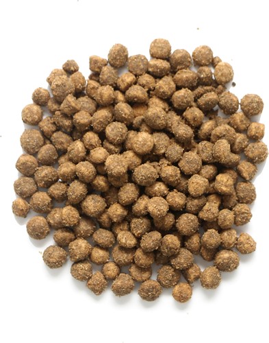 ImperialFood Health Sensitive-2