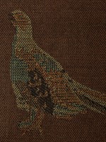 Dubarry® Birchdale Omslagdoek Bourbon-3