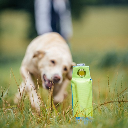 Dog & Field Line Target Dummy Groen & Petrol-3