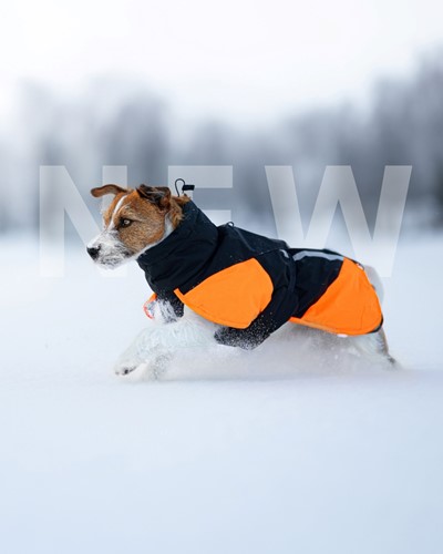 Glacier Dog Jacket 3.0 Black / Orange-2