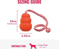 KONG® Aqua Large-3