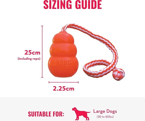 KONG® Aqua Large-3