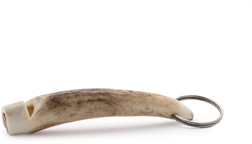 Staghorn  Whistle / Gewei Fluit