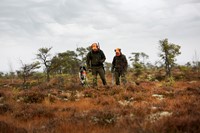 furudal sfeerfoto