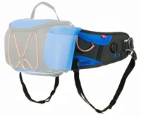 belt bag