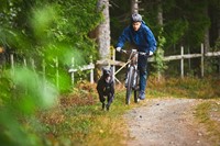 Bike Antenna KLICK FIX Non Stop Dog Wear-3