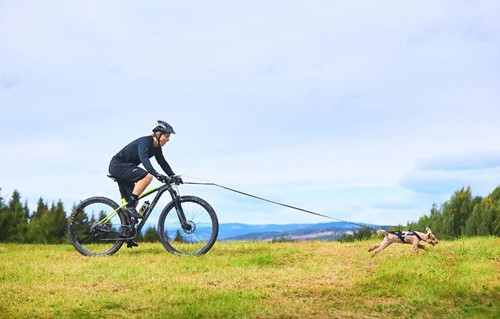 Touring Bungee Leash Breed - 23mm-3