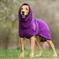Dryup® Cape BILBERRY (Purple) Hondenbadjas-3