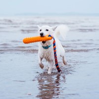 Tug-e-Nuff BOB: The 3-in-1 Dog Dummy-2
