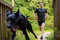 Bungee Leash 2.0 Black / Orange-3