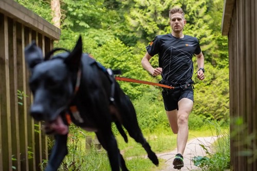 Bungee Leash 2.0 Black / Orange-3