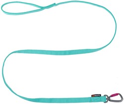 Bungee Leash 2.0 Aqua