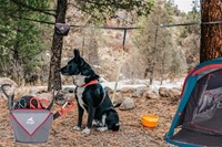 Kurgo® Ridgeline Tie out-2