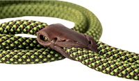 Hunter & Co Sliplijn Caterpillar 10mm 10mm x 150cm Dubbele stop-2