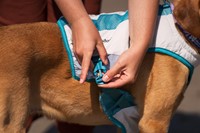CoolingVest_012.jpg