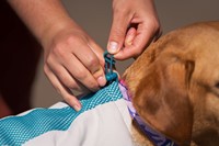 CoolingVest_014.jpg