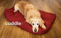 cuddle-up-14
