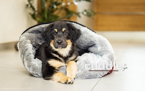 Cuddle Up® Burgundy - Maat M 84 x 54 cm
