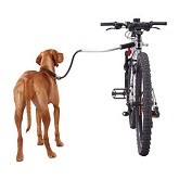 Hond & fiets