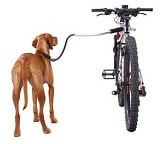 Hond & fiets