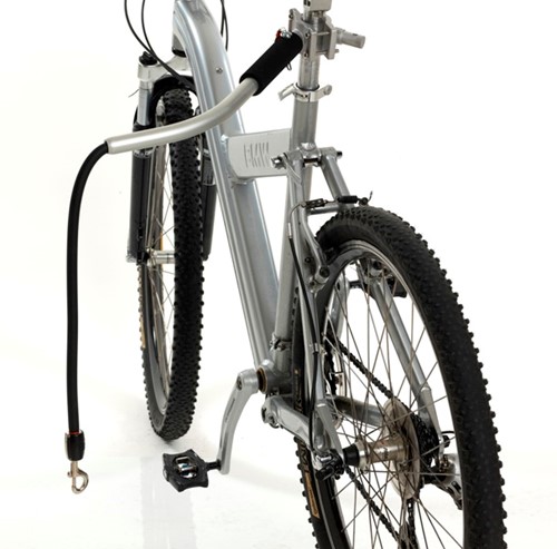 Cycleash Fietsbeugel
