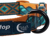 Trail Quest Collar Rachel Pohl edition TEAL-3