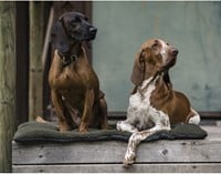 Deerhunter® Germania Dog Blanket 70 x 100 cm-2