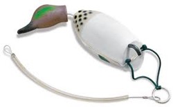 Dokken DIVER- greenwing Teal