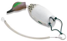 Dokken DIVER- greenwing Teal