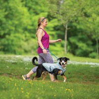 Kurgo® Core Cooling Vest Verkoelend & Reflecterend-2