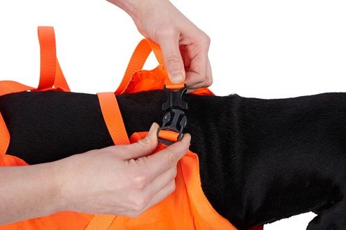 Non Stop Dog Rescue Sling-3