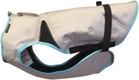 Dry Cooling vest