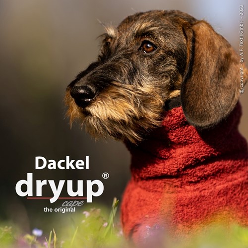 Dryup Cape TECKEL Bordeaux - Maat 50