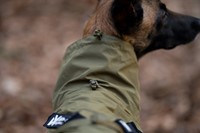 DSC06068-1.jpg