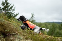DSC09778.jpg