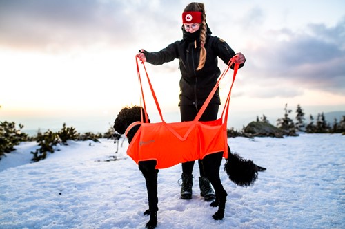 rescue sling1 