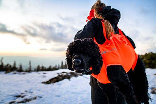 rescue sling 2