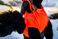 rescue sling 3