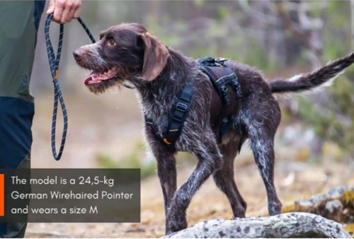 Rock Harness Long - Maat M-3