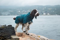 Fjord Lined Raincoat - Dark Teal-2