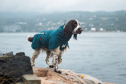 Fjord Lined Raincoat - Dark Teal-2