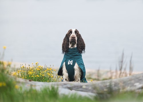 eika-fjord-lined.jpg