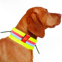 Signaalband Gummyflex met Fahnen - Halsomvang 32 CM-2