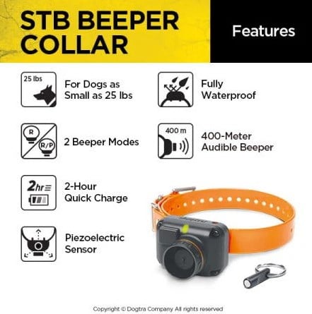 Dogtra StB Hawk-H collar-3