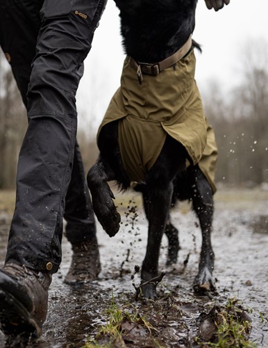 Fjord Raincoat Working Dog-3
